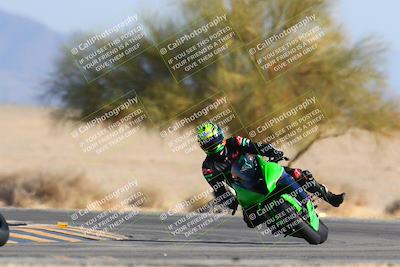 media/Jan-14-2024-SoCal Trackdays (Sun) [[2e55ec21a6]]/Turn 4 Tree of Life (155pm)/